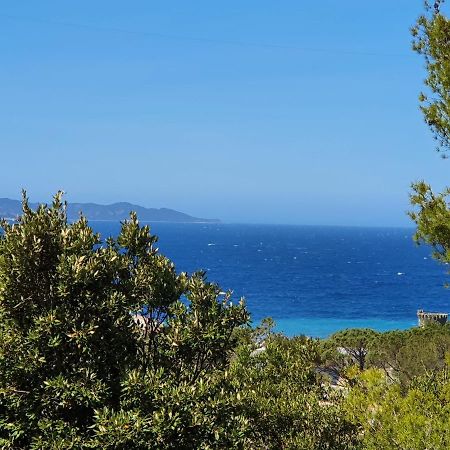 Les Gites Du Cap Corse ノンザ エクステリア 写真