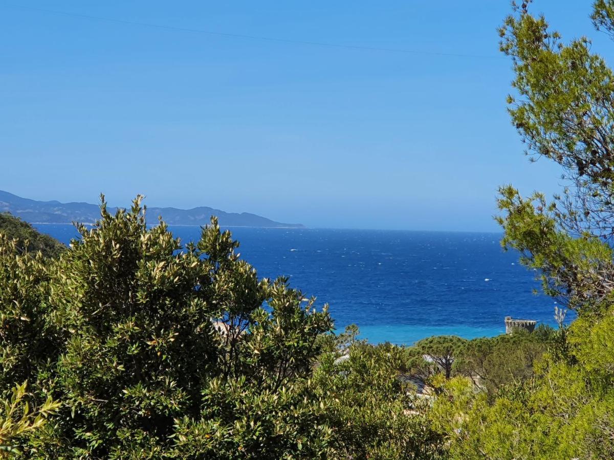 Les Gites Du Cap Corse ノンザ エクステリア 写真
