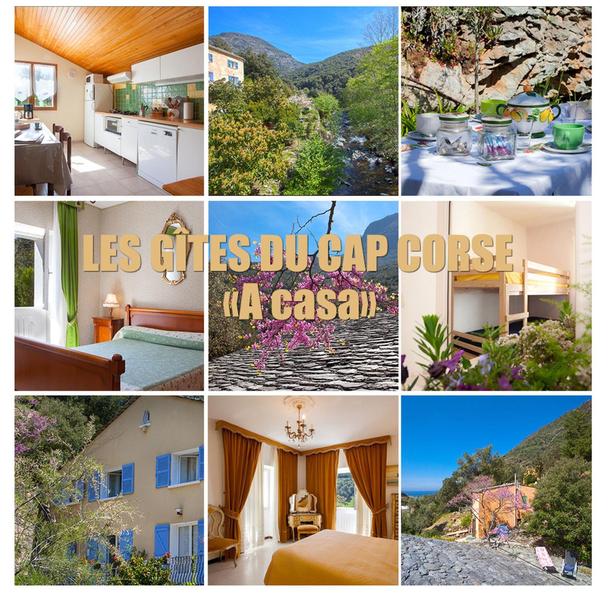 Les Gites Du Cap Corse ノンザ エクステリア 写真