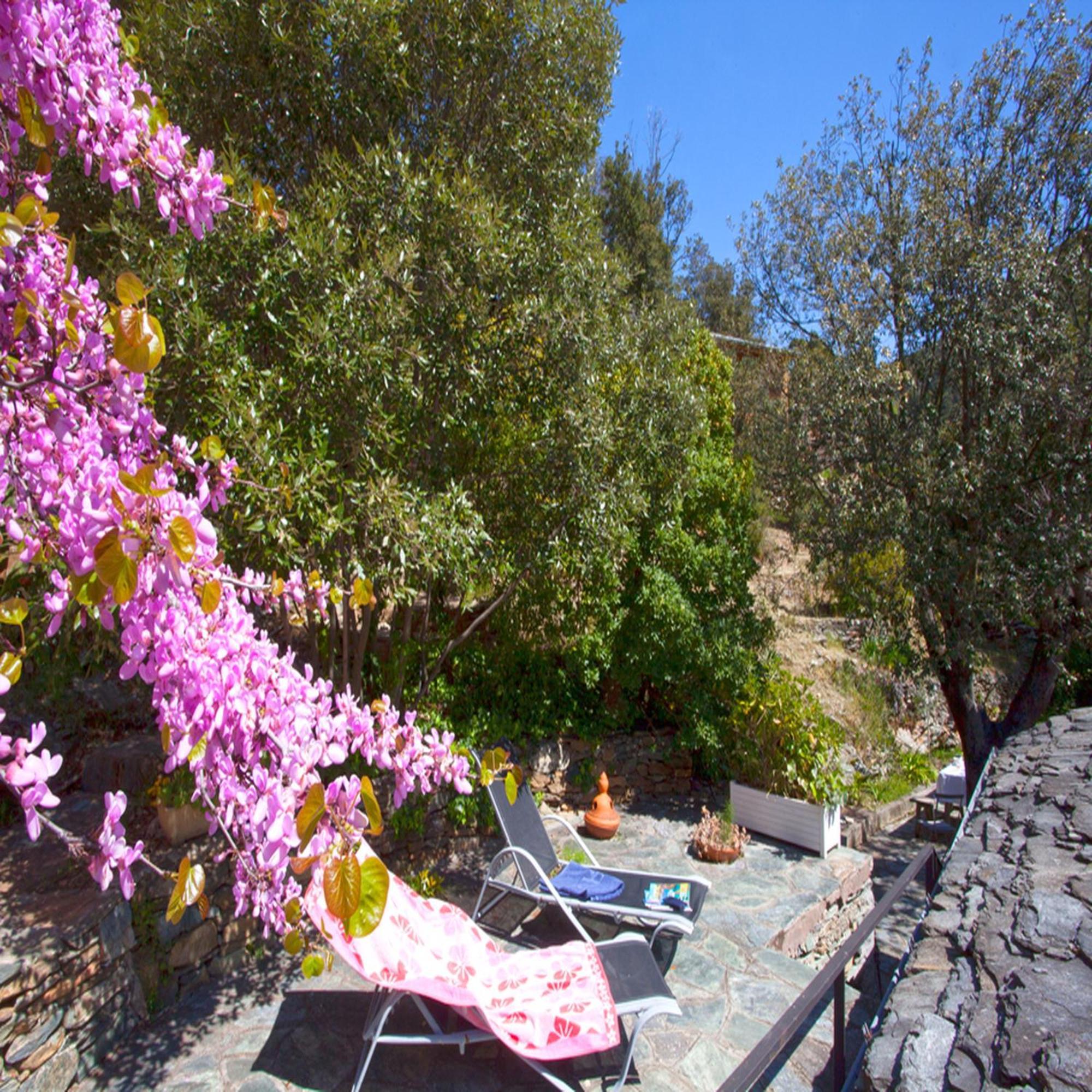 Les Gites Du Cap Corse ノンザ 部屋 写真