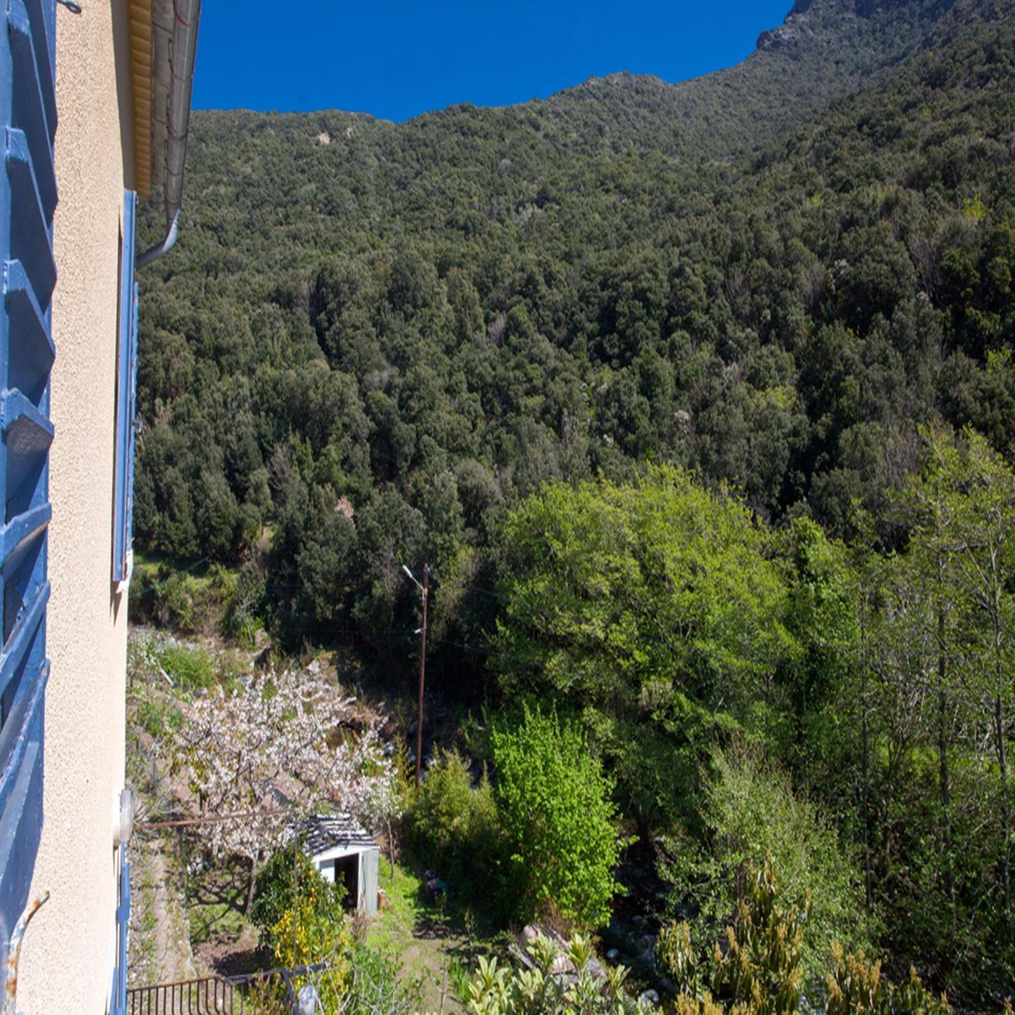 Les Gites Du Cap Corse ノンザ 部屋 写真